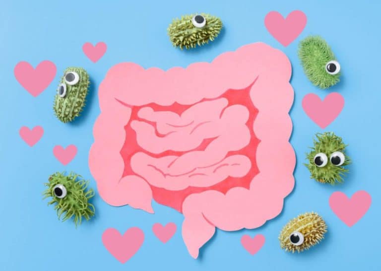 how to increase good bacteria in your gut