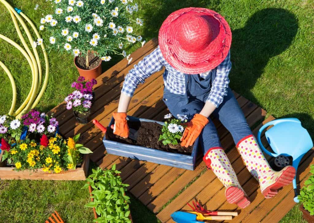 20 benefits of gardening color and flowers